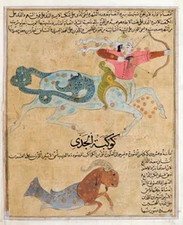 Die Sternbilder Schütze und Steinbock, Illustration aus 